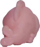 #2-B1 Teensy Fish